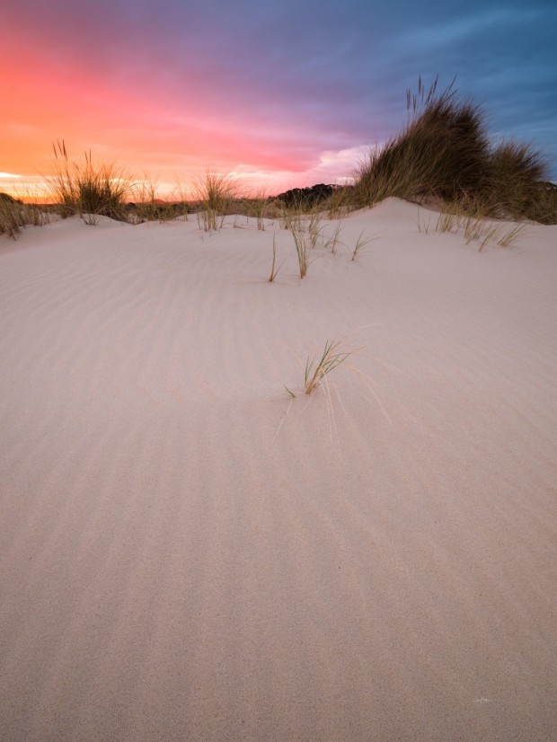West Coast Dunes - Henty Dunes Tasmania by Cameron Blake